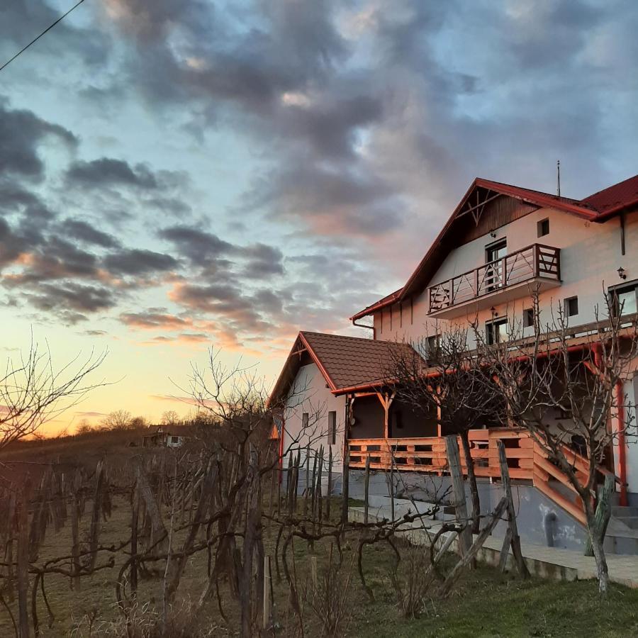 Panorama Cehu Silvaniei Exterior foto
