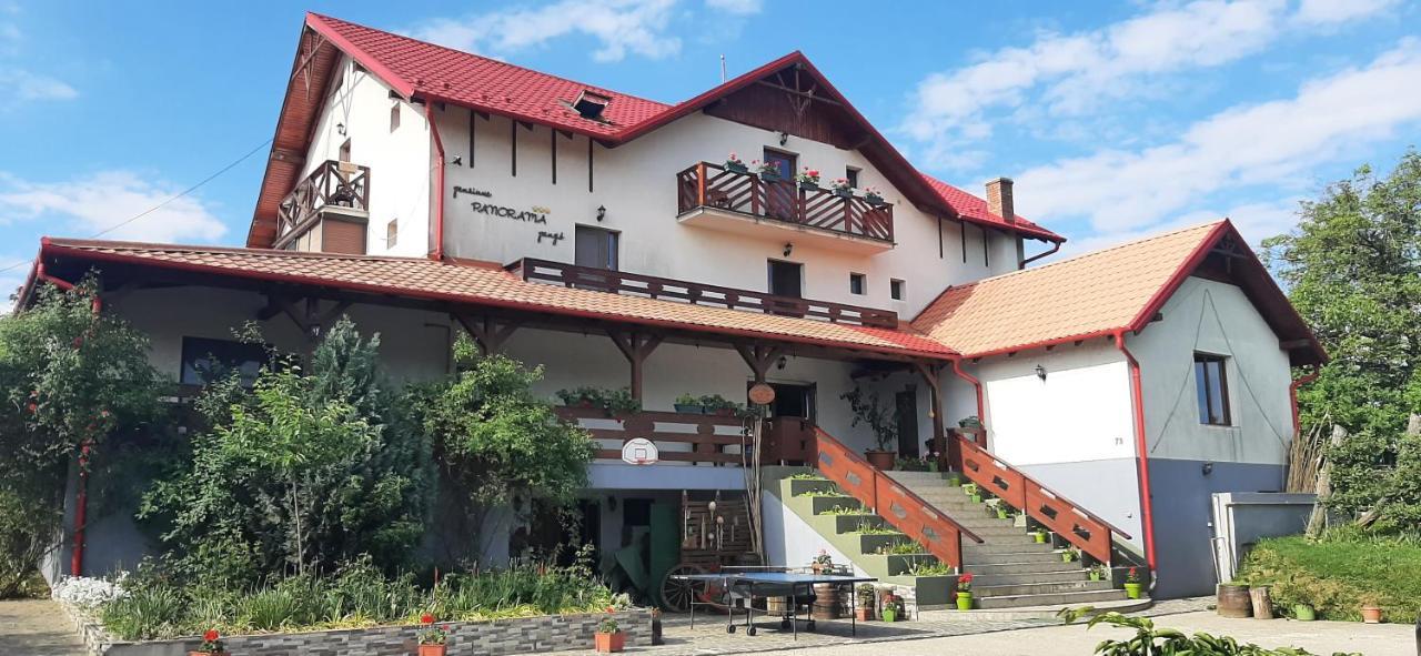 Panorama Cehu Silvaniei Exterior foto