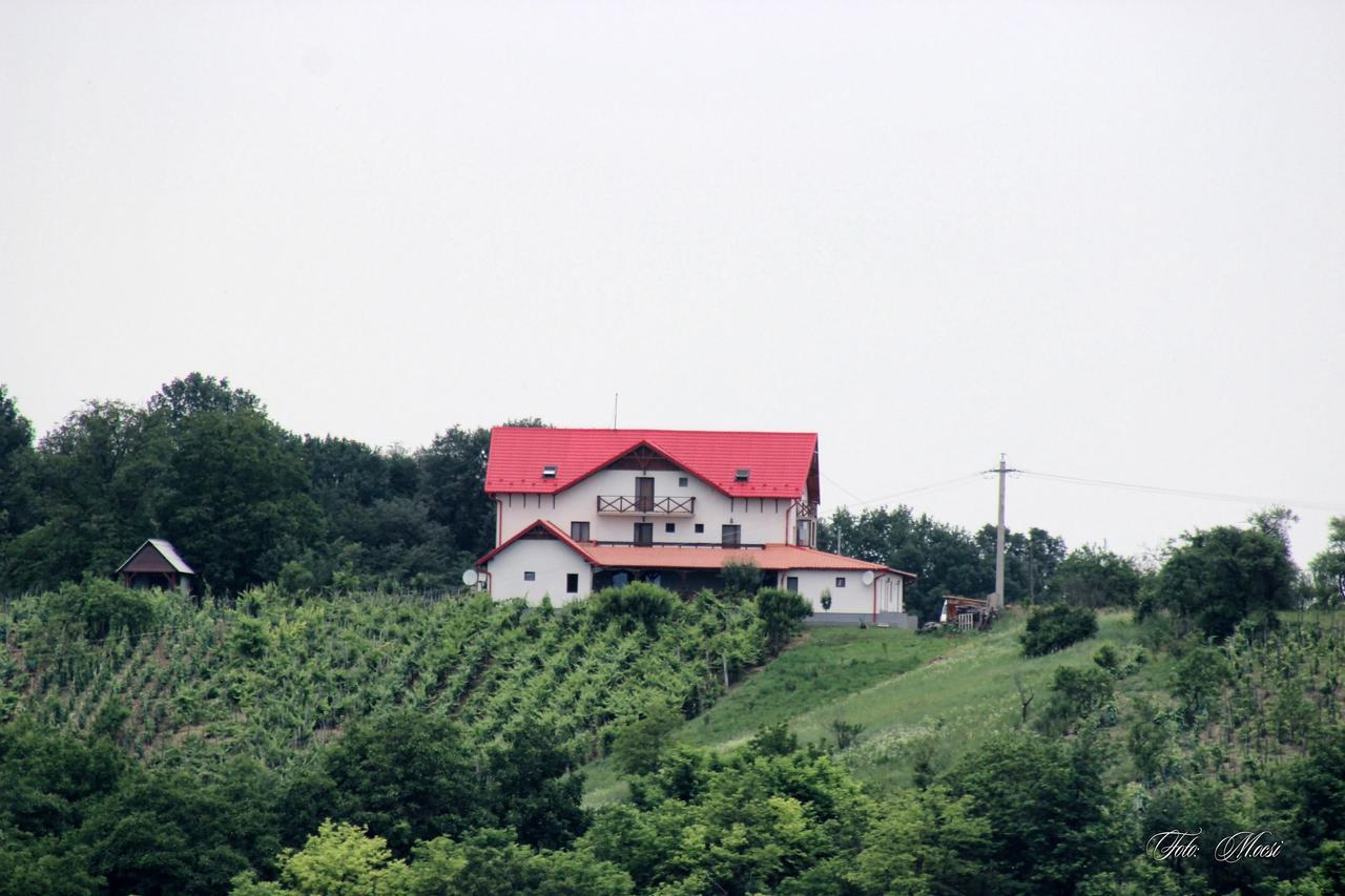 Panorama Cehu Silvaniei Exterior foto