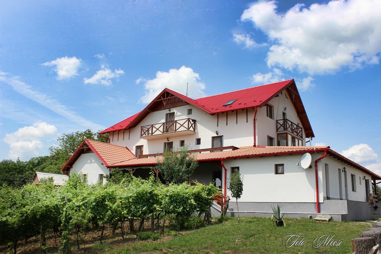 Panorama Cehu Silvaniei Exterior foto
