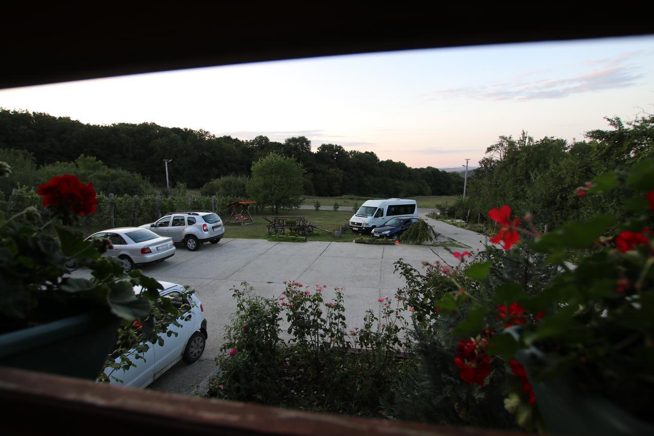 Panorama Cehu Silvaniei Exterior foto